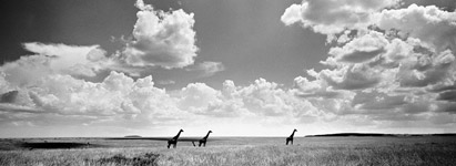 Journey